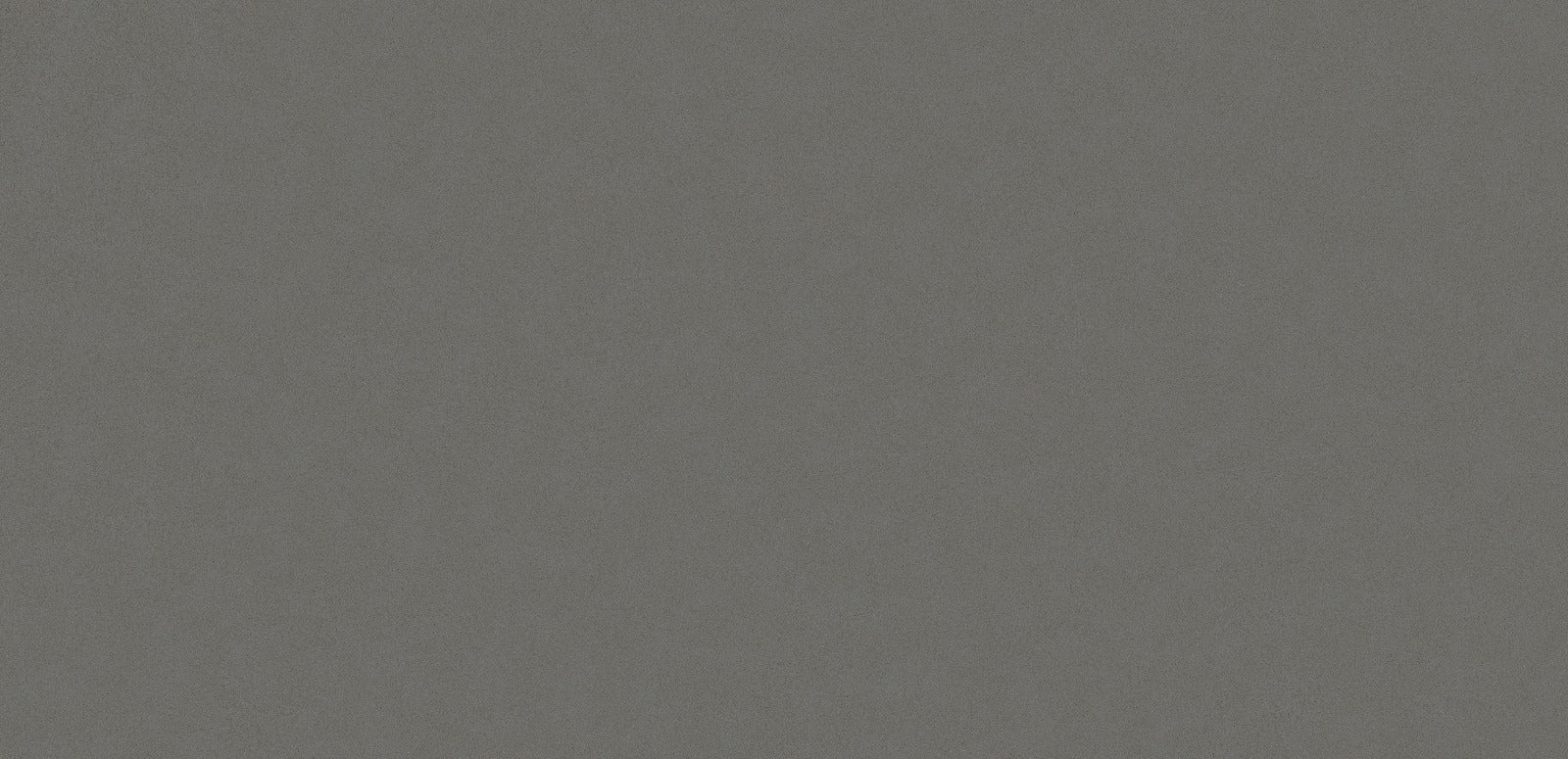 GRIS EXPO