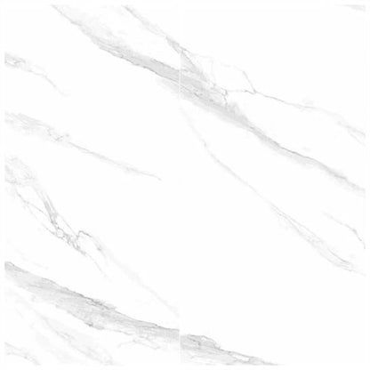 ARTIC WHITE