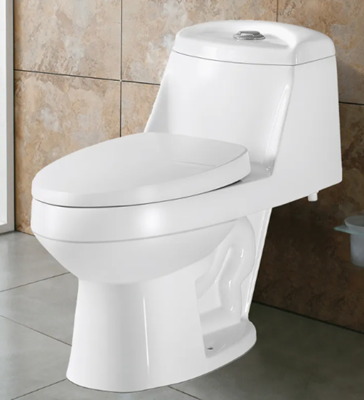 Inodoro de Ceramica