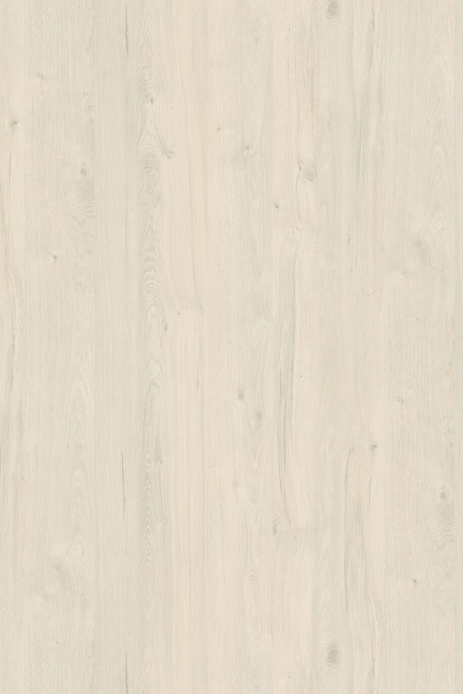 WHITE COASTLAND OAK