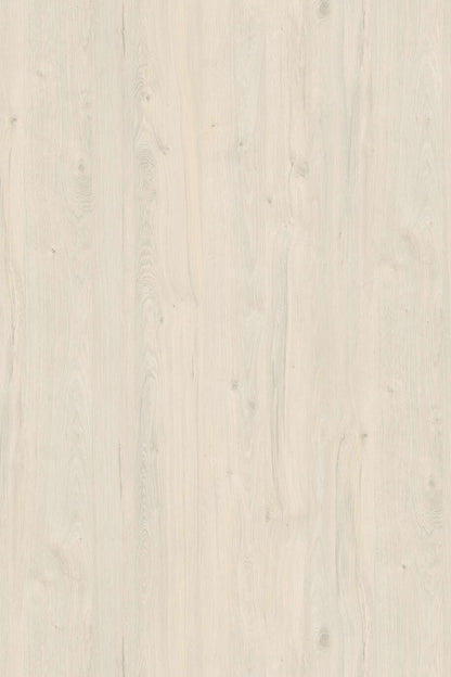 WHITE COASTLAND OAK