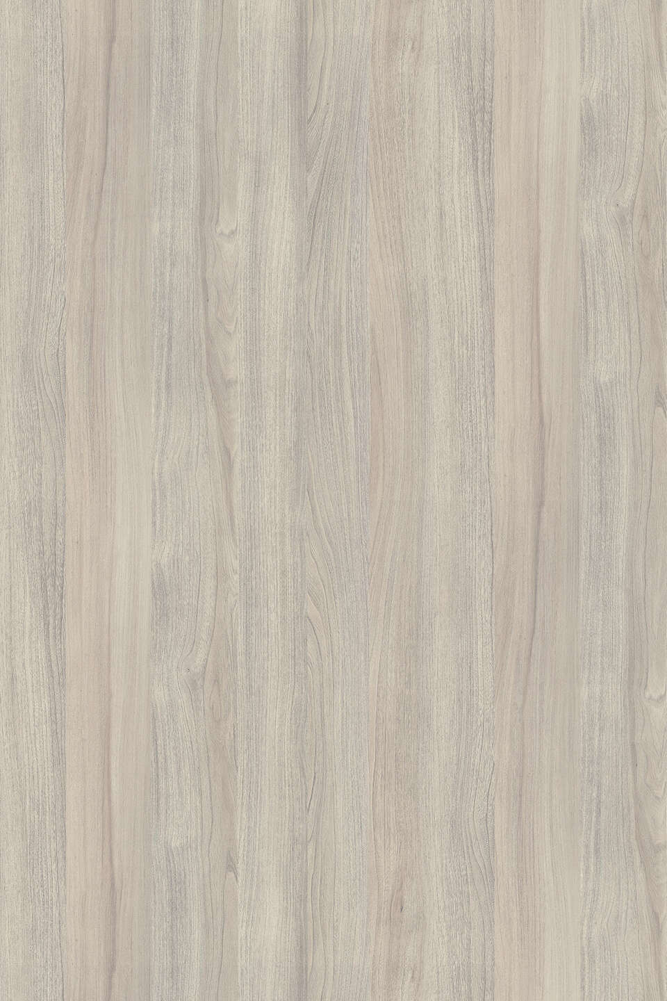 SILVER LIBERTY ELM
